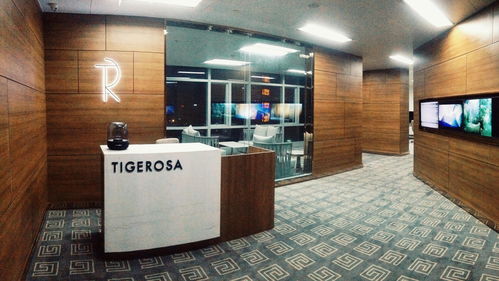 成都老虎薔薇建筑裝飾工程有限責任公司