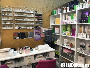 2020香港市廣場廚具衛(wèi)具及日用雜品零售價格與商戶資訊指南