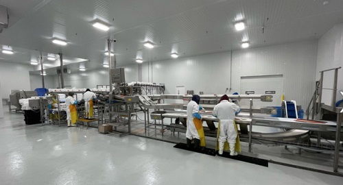 Bakkafrost美國新加工廠投用，進軍零售業，力爭銷量翻番